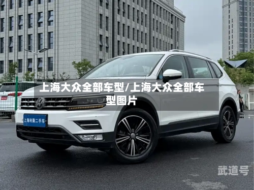 上海大众全部车型/上海大众全部车型图片