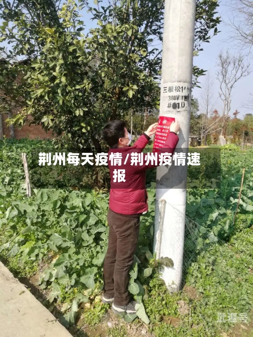 荆州每天疫情/荆州疫情速报