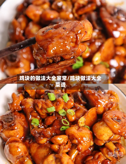 鸡块的做法大全家常/鸡块做法大全菜谱