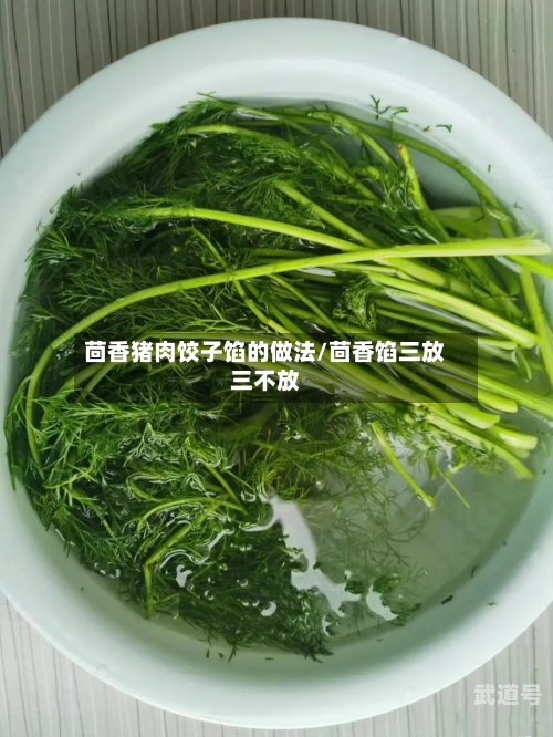 茴香猪肉饺子馅的做法/茴香馅三放三不放