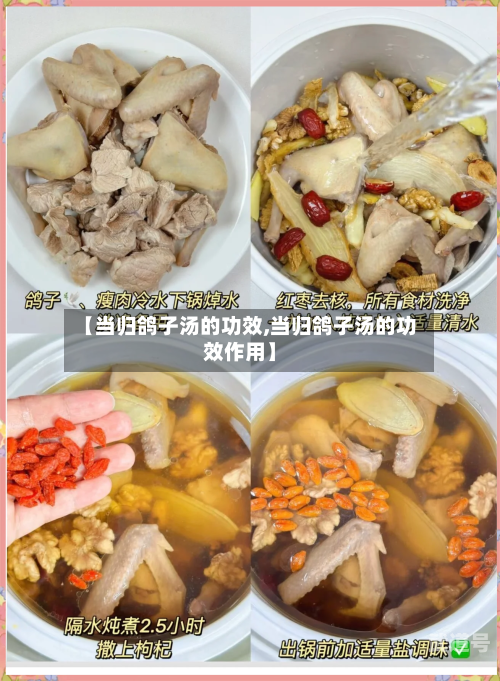 【当归鸽子汤的功效,当归鸽子汤的功效作用】