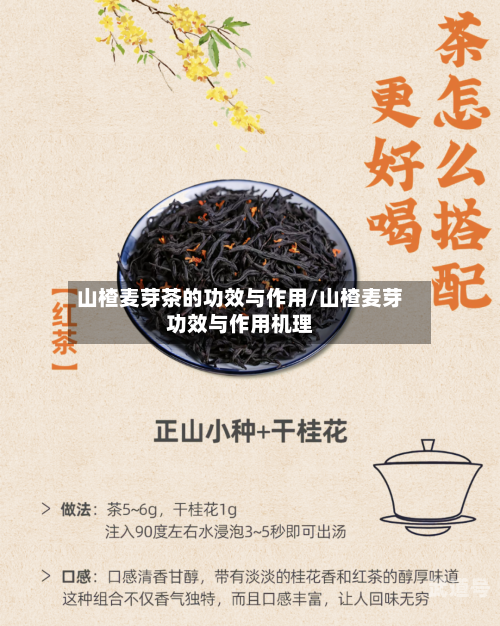 山楂麦芽茶的功效与作用/山楂麦芽功效与作用机理