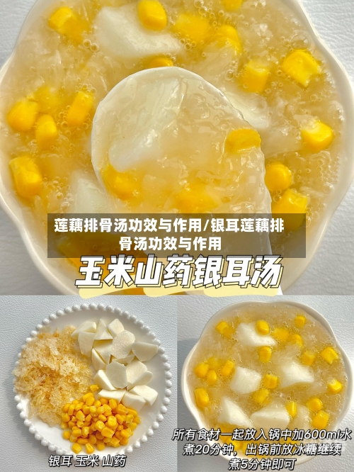 莲藕排骨汤功效与作用/银耳莲藕排骨汤功效与作用