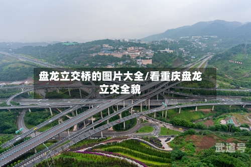 盘龙立交桥的图片大全/看重庆盘龙立交全貌