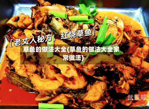 草鱼的做法大全(草鱼的做法大全家常做法)