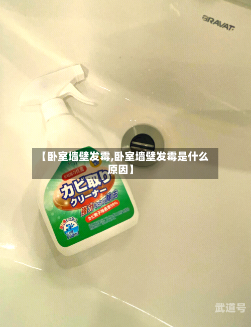 【卧室墙壁发霉,卧室墙壁发霉是什么原因】