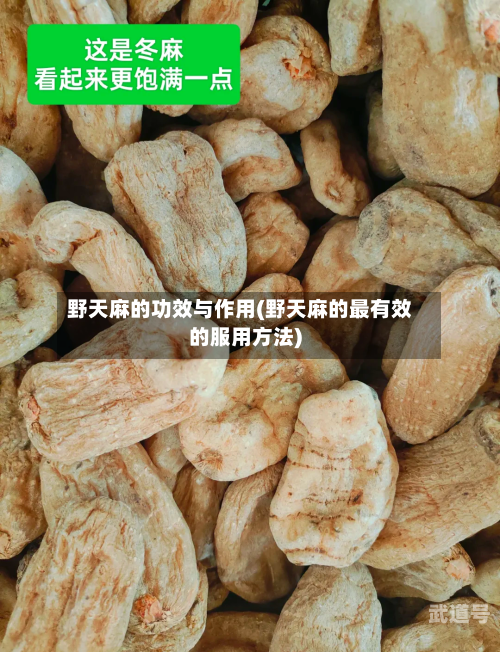 野天麻的功效与作用(野天麻的最有效的服用方法)