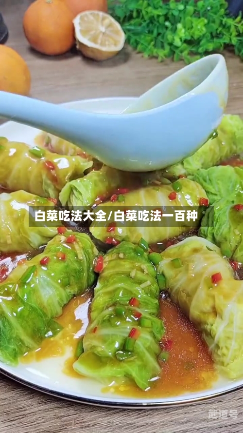 白菜吃法大全/白菜吃法一百种