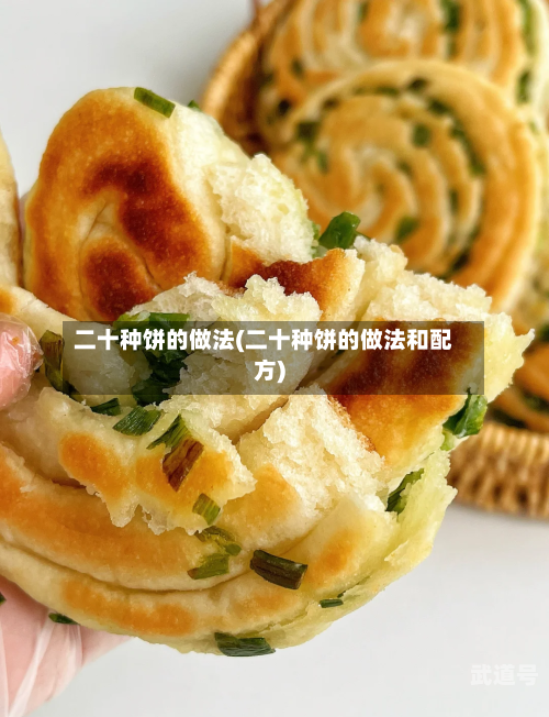 二十种饼的做法(二十种饼的做法和配方)