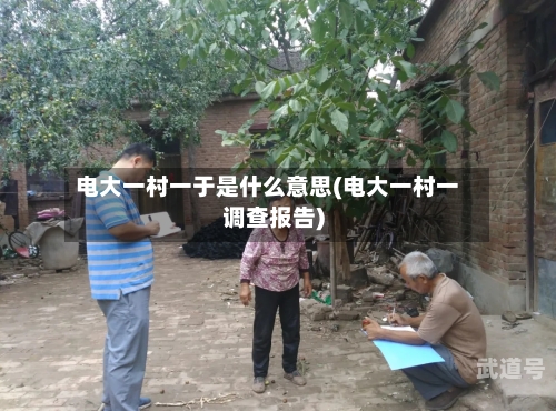 电大一村一于是什么意思(电大一村一调查报告)