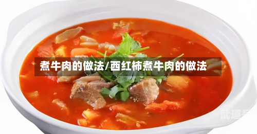 煮牛肉的做法/西红柿煮牛肉的做法