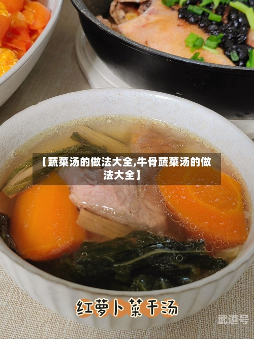 【蔬菜汤的做法大全,牛骨蔬菜汤的做法大全】