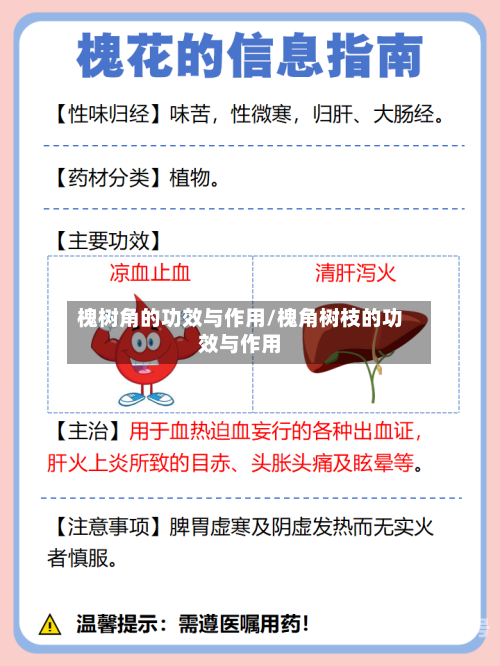 槐树角的功效与作用/槐角树枝的功效与作用