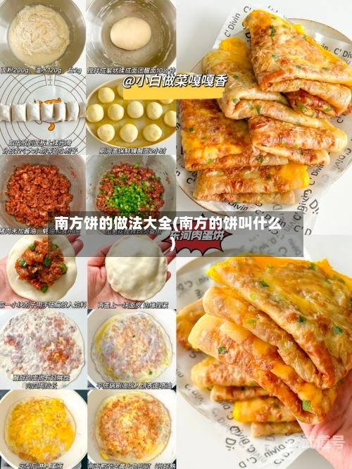 南方饼的做法大全(南方的饼叫什么)