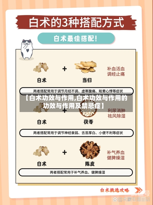 【白术功效与作用,白术功效与作用的功效与作用及禁忌症】