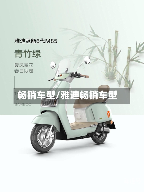 畅销车型/雅迪畅销车型