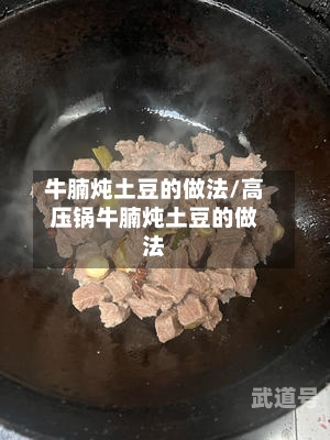 牛腩炖土豆的做法/高压锅牛腩炖土豆的做法