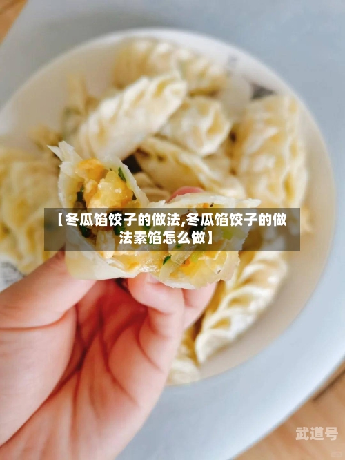 【冬瓜馅饺子的做法,冬瓜馅饺子的做法素馅怎么做】