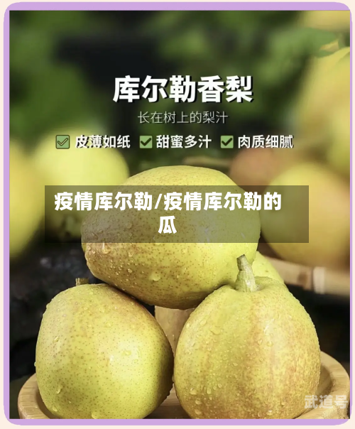疫情库尔勒/疫情库尔勒的瓜