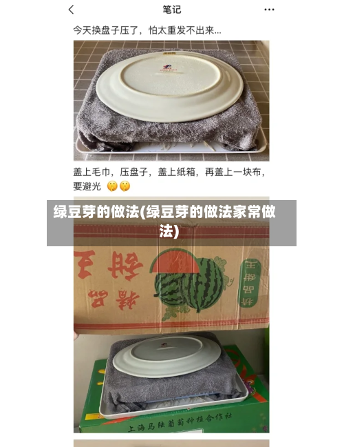 绿豆芽的做法(绿豆芽的做法家常做法)