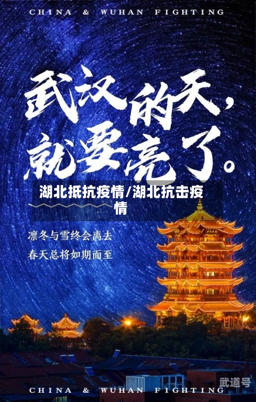 湖北抵抗疫情/湖北抗击疫情