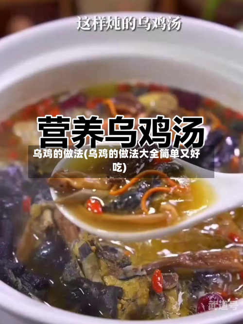 乌鸡的做法(乌鸡的做法大全简单又好吃)