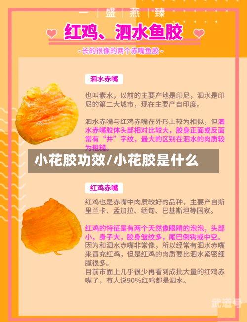 小花胶功效/小花胶是什么