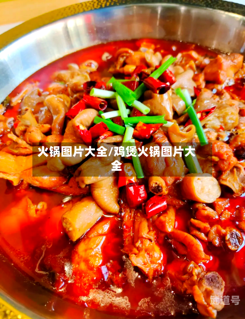 火锅图片大全/鸡煲火锅图片大全