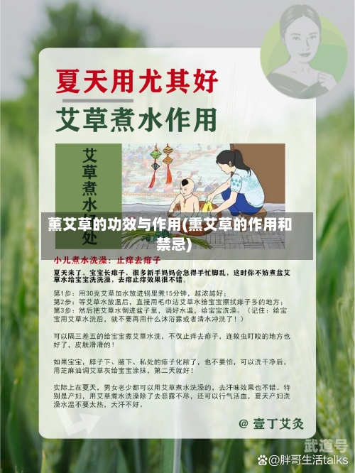 薰艾草的功效与作用(熏艾草的作用和禁忌)