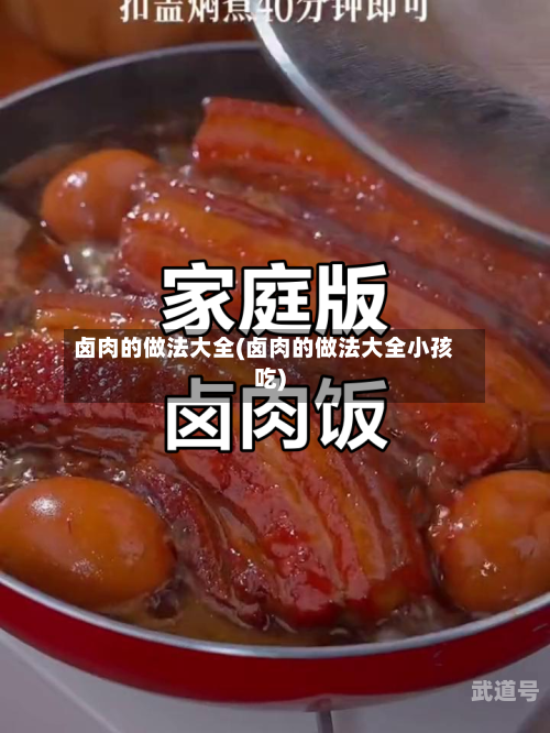 卤肉的做法大全(卤肉的做法大全小孩吃)