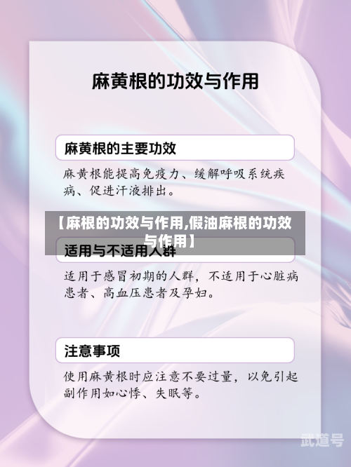 【麻根的功效与作用,假油麻根的功效与作用】