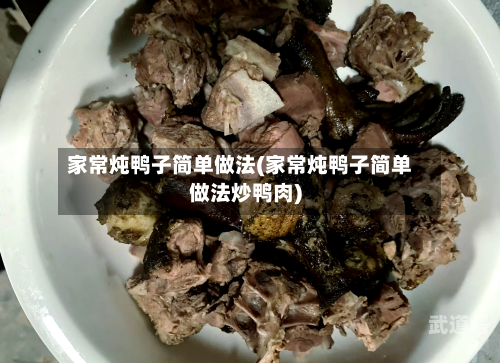 家常炖鸭子简单做法(家常炖鸭子简单做法炒鸭肉)