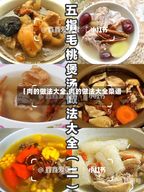 【肉的做法大全,肉的做法大全菜谱】