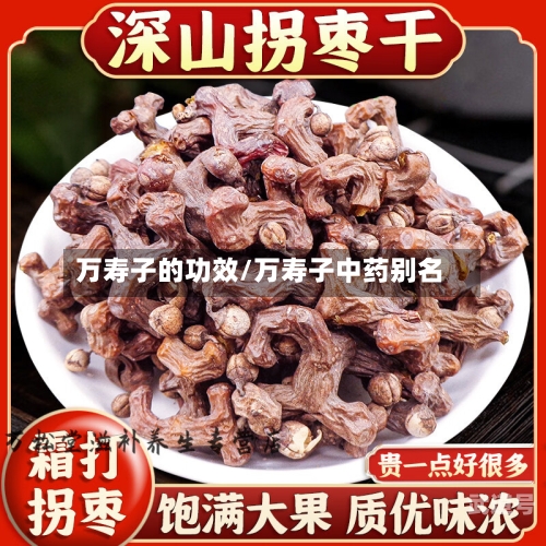 万寿子的功效/万寿子中药别名-第3张图片