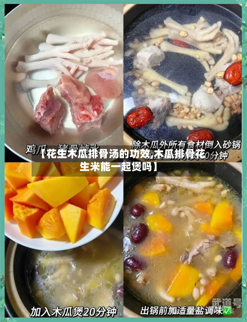 【花生木瓜排骨汤的功效,木瓜排骨花生米能一起煲吗】