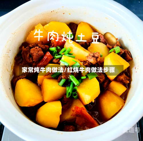 家常炖牛肉做法/红烧牛肉做法步骤