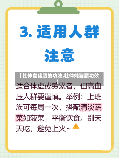 【杜仲煮猪腰的功效,杜仲炖猪腰功效】