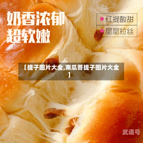 【提子图片大全,南瓜菩提子图片大全】