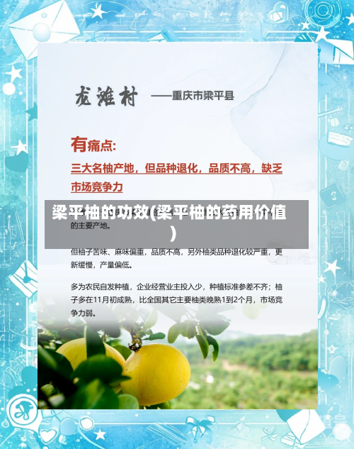 梁平柚的功效(梁平柚的药用价值)