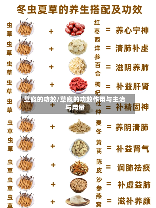 草寇的功效/草寇的功效作用与主治与用量