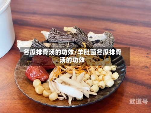 冬瓜排骨汤的功效/羊肚菌冬瓜排骨汤的功效