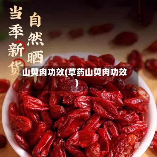 山萸肉功效(草药山萸肉功效)-第3张图片
