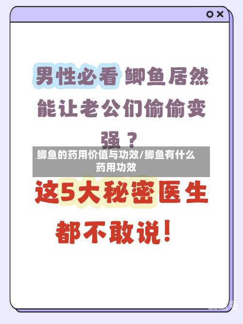 鲫鱼的药用价值与功效/鲫鱼有什么药用功效