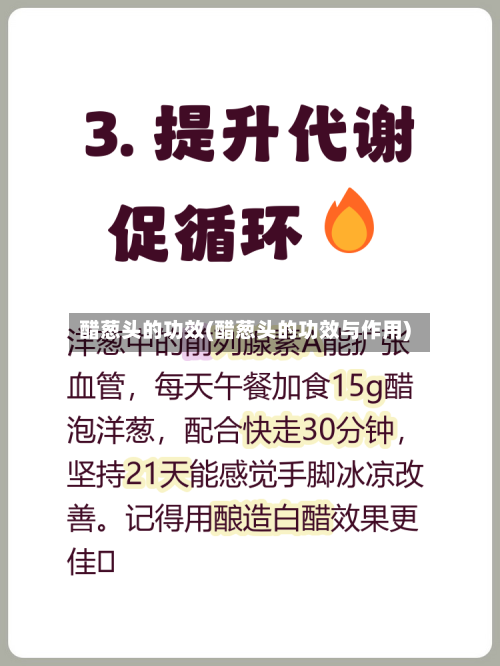 醋葱头的功效(醋葱头的功效与作用)