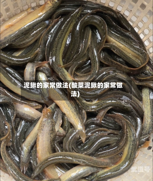 泥鳅的家常做法(酸菜泥鳅的家常做法)