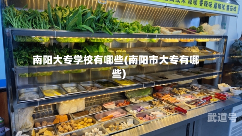 南阳大专学校有哪些(南阳市大专有哪些)-第3张图片