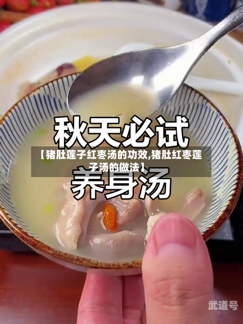 【猪肚莲子红枣汤的功效,猪肚红枣莲子汤的做法】