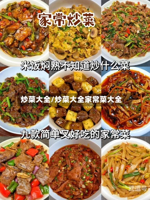炒菜大全/炒菜大全家常菜大全