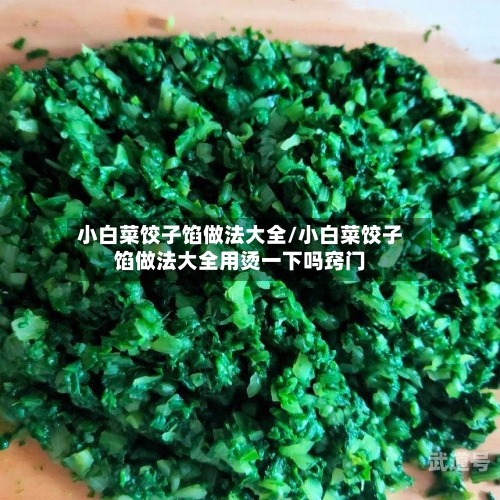 小白菜饺子馅做法大全/小白菜饺子馅做法大全用烫一下吗窍门