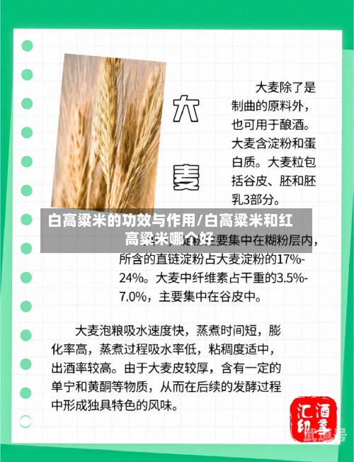 白高粱米的功效与作用/白高粱米和红高粱米哪个好